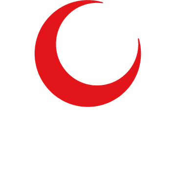 D-Scan B.V.